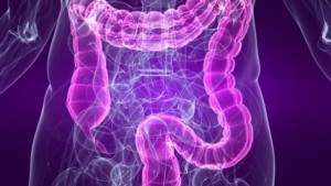 highlighted colon