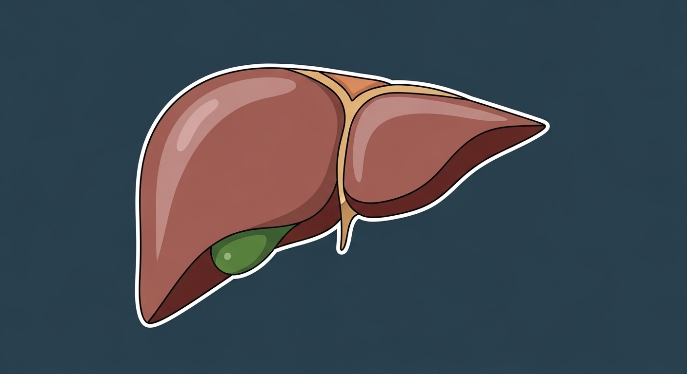 عادات يومية خفية تزيد خطر الكبد الدهني وكيف يمكن عكسها
